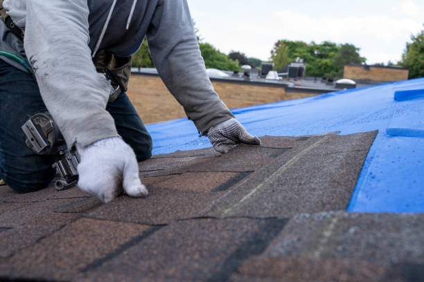 Best Roof Waterproofing Services  in North Middletown, NJ
